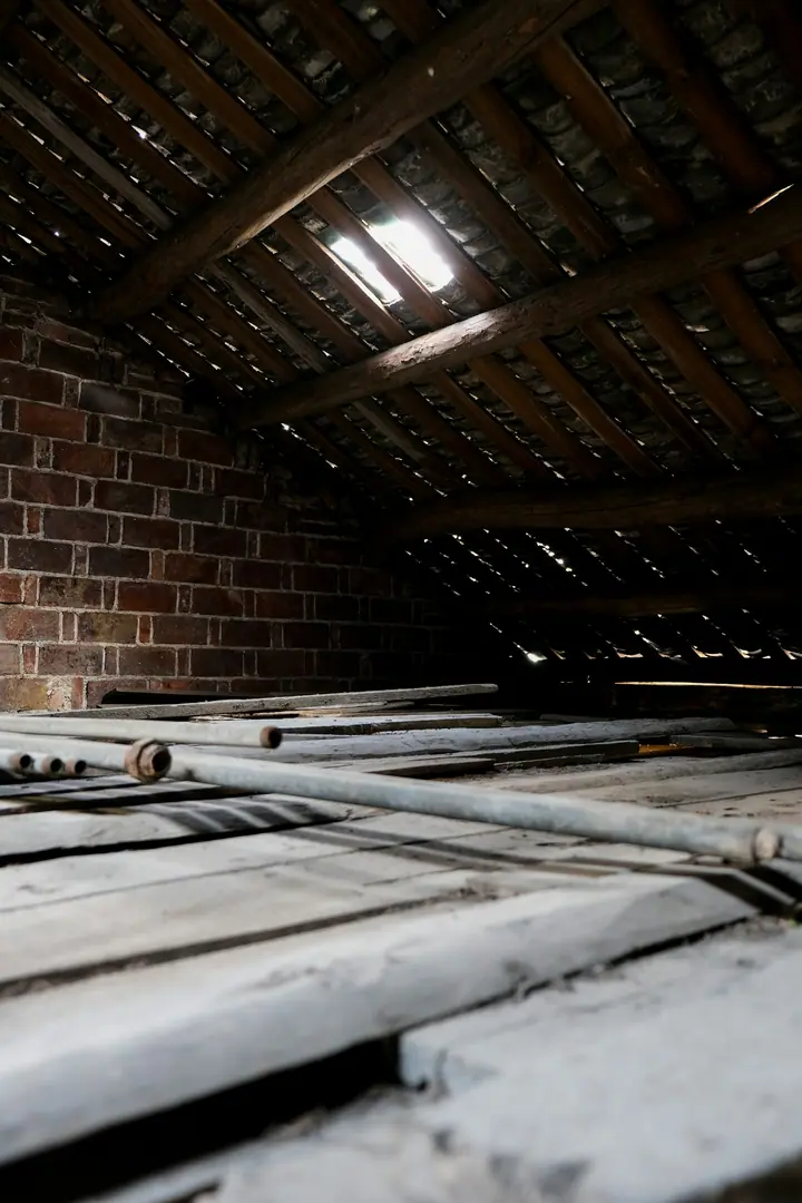 Attic Cleanout and Decontamination