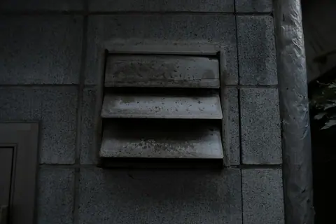 Louvered exterior vent