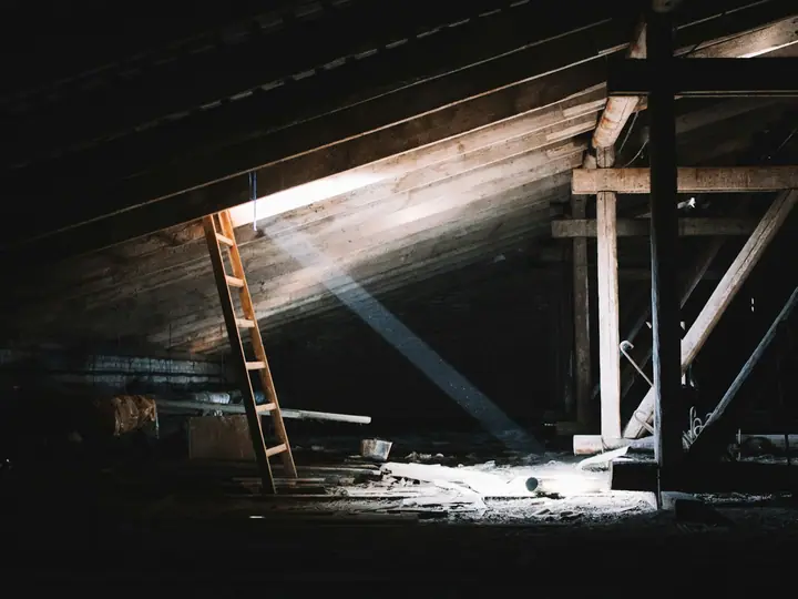 Rodent Proofing and Attic Restoration